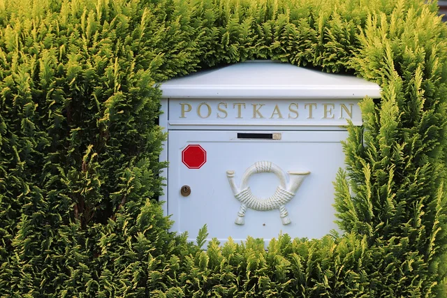 letter box, mailbox, letters, delivery, communication, leaves, plants, metal, newsletter, mailing, e mail, close up, letter box, newsletter, newsletter, newsletter, newsletter, newsletter. How to grow a newsletter audience that actually stays subscribed