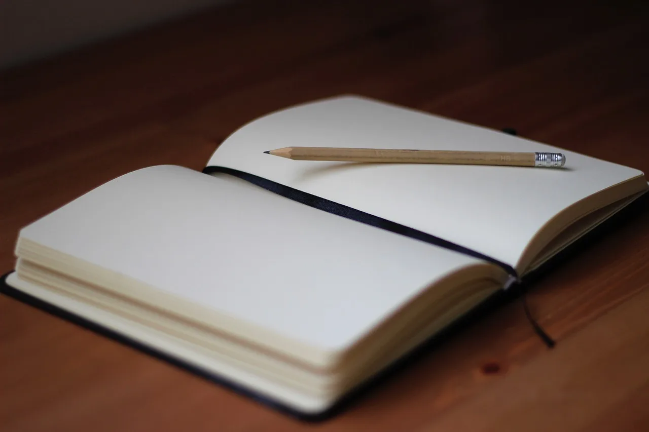 pencil, write, notebook, paper, desk, wooden, brown laptop, brown writing, brown desk. LLC vs Sole Proprietor for a Newsletter Business: US Comparison