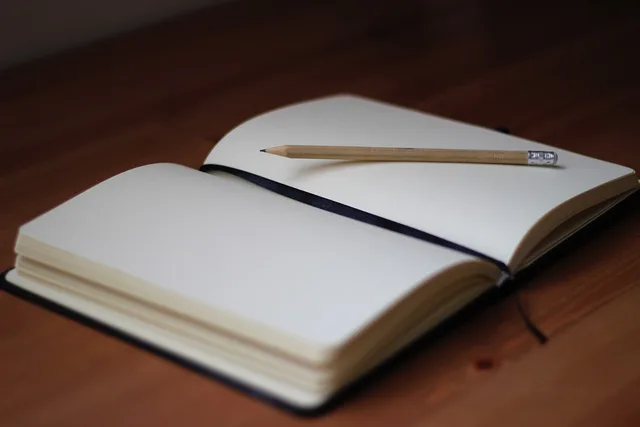 pencil, write, notebook, paper, desk, wooden, brown laptop, brown writing, brown desk. LLC vs Sole Proprietor for a Newsletter Business: US Comparison