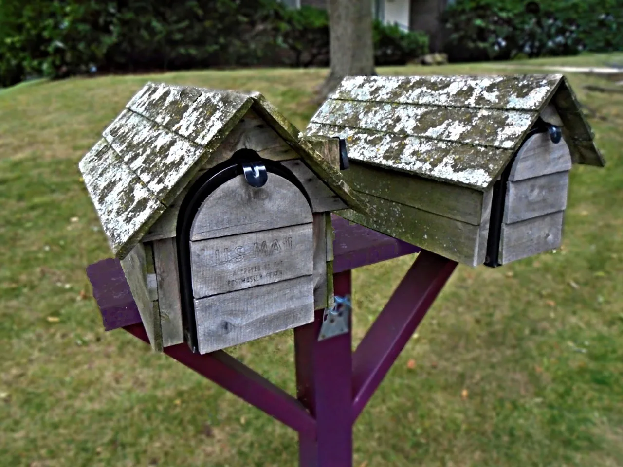 mailbox, letterbox, postbox, mail, postal, delivery, mailing, service, letter, postman, mailbox, mailbox, mailbox, postman, postman, postman, postman, postman. 5 points worth checking on newsletter audience growth