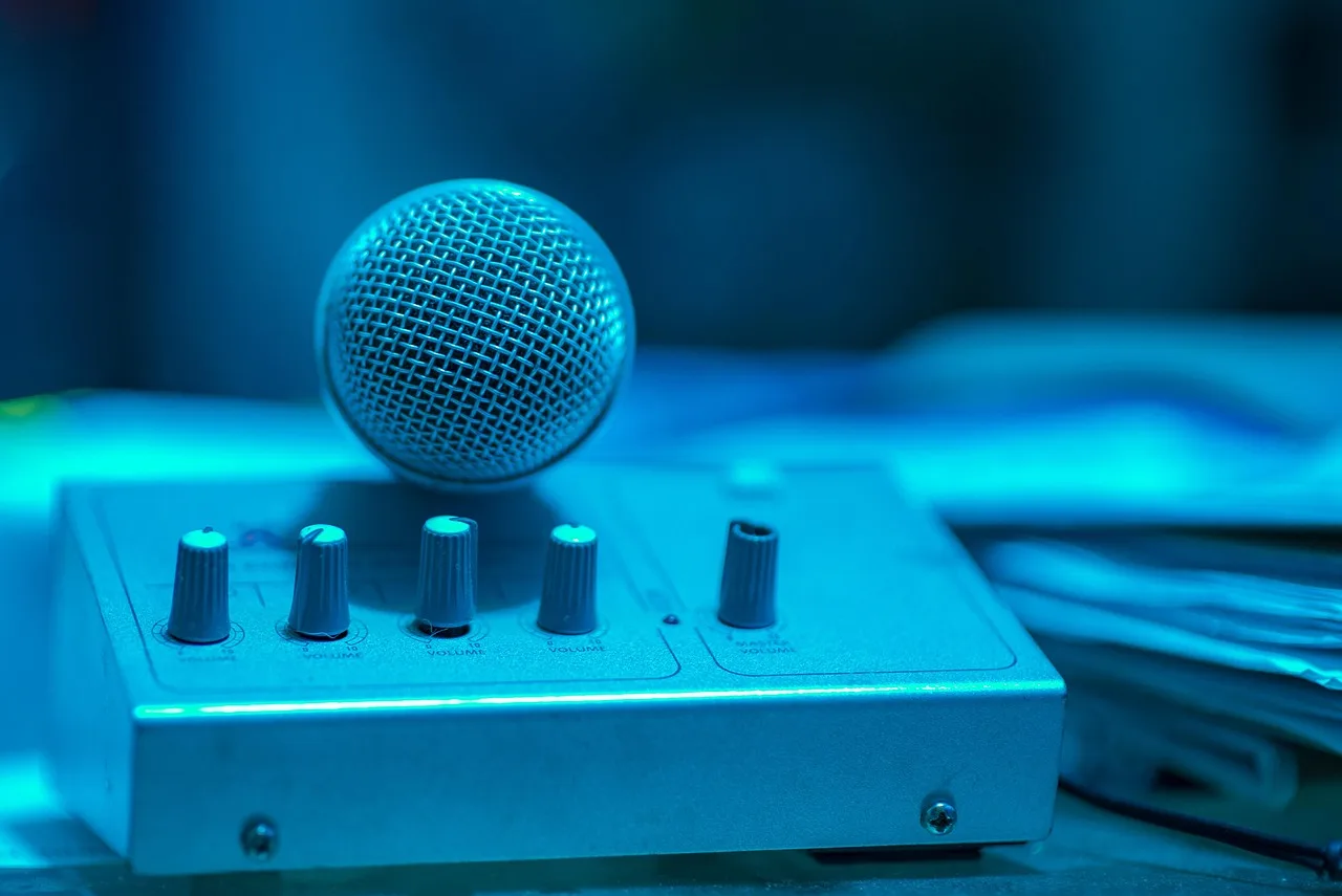 microphone, to sing, music, sound, concert, karaoke, study, audio, team, audience, karaoke, karaoke, karaoke, karaoke, karaoke. The newsletter business plan: sections that matter