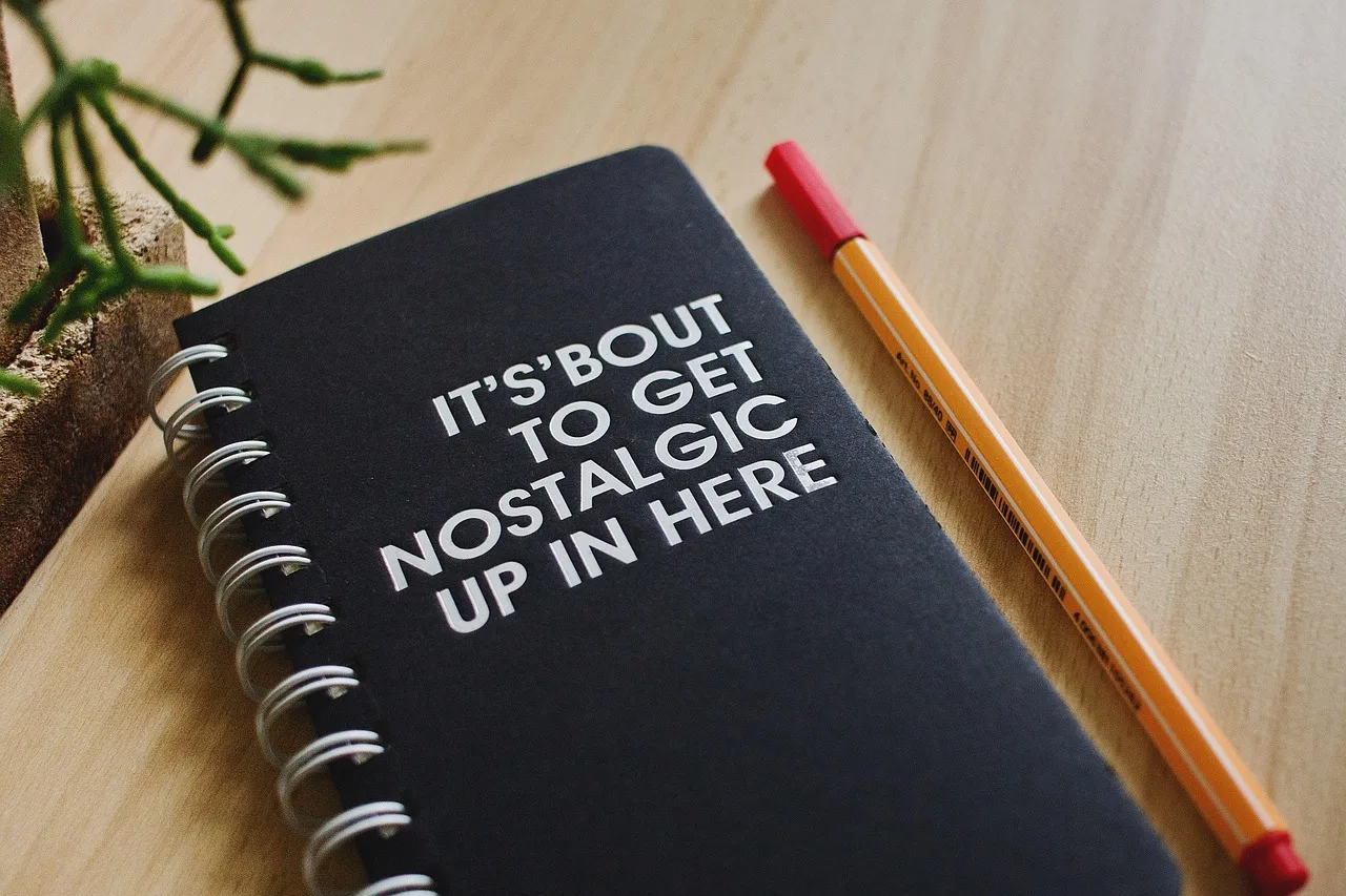 still, items, things, notebook, journal, pen, sayings, excerpts, brown laptop, journal, journal, journal, journal, journal. Building a newsletter business quote: what to include and what to charge